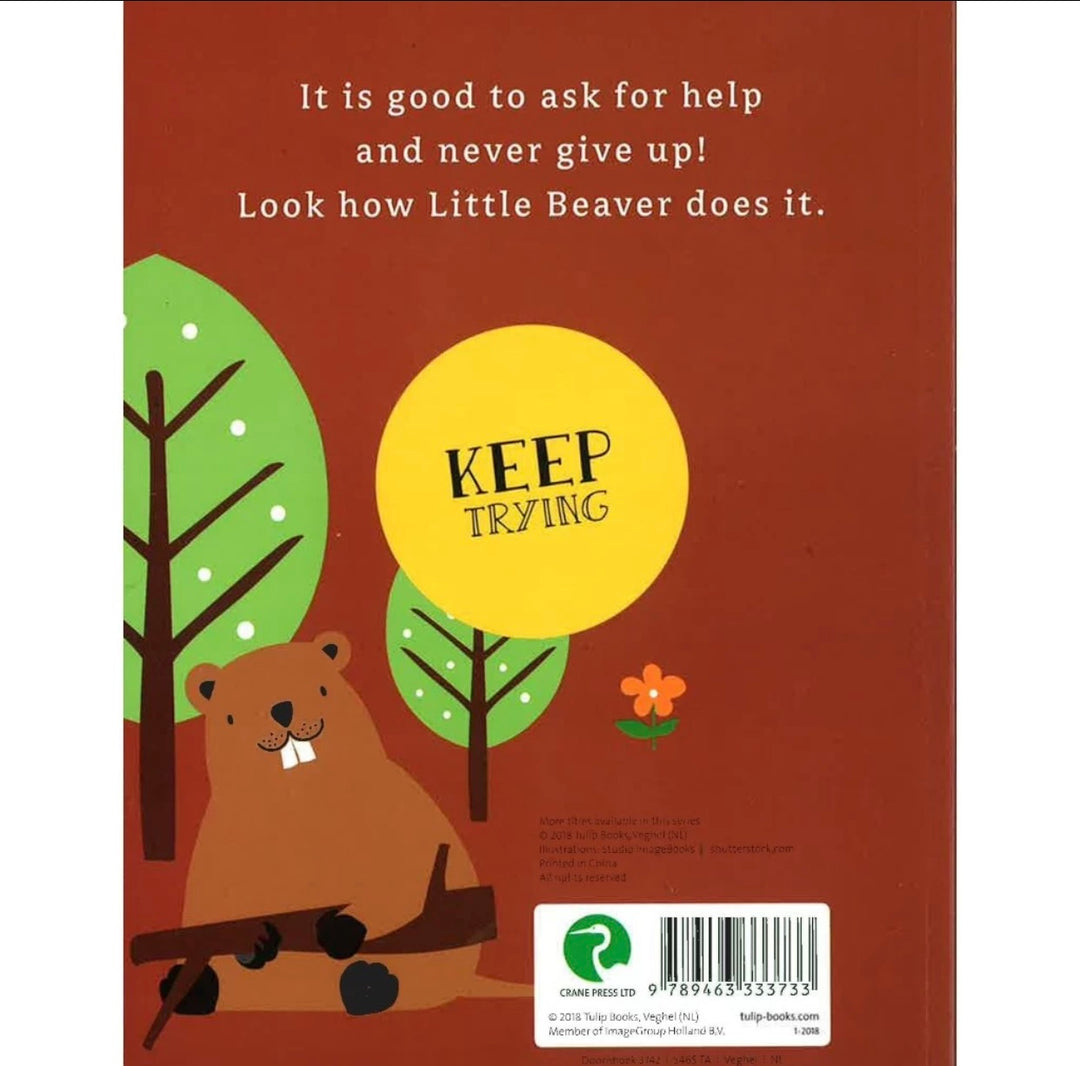 Values and virtues - Keep Trying board book