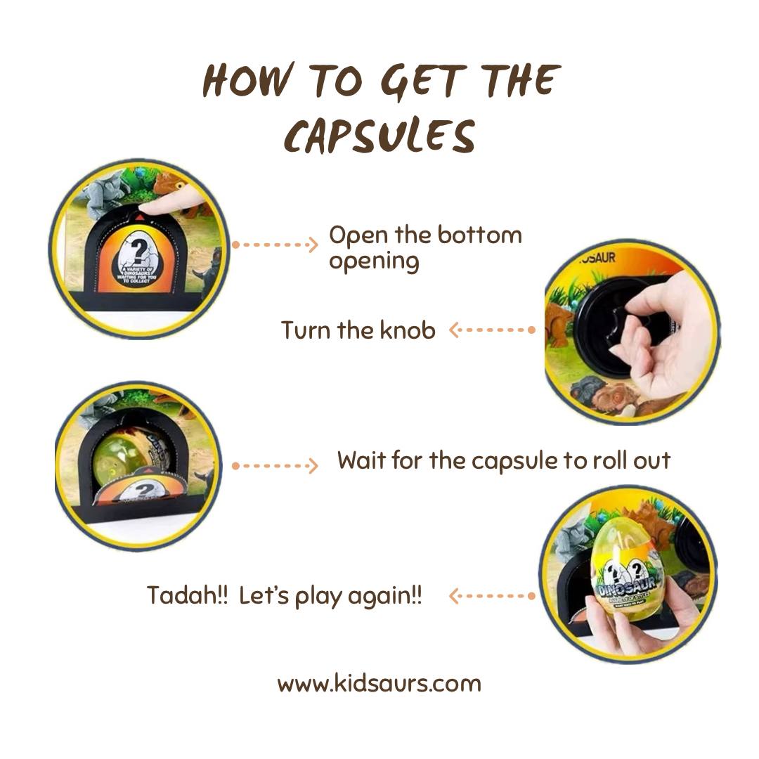 Dinosaurs capsules with box