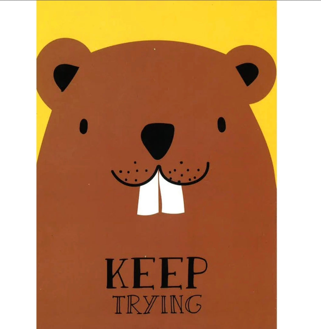 Values and virtues - Keep Trying board book